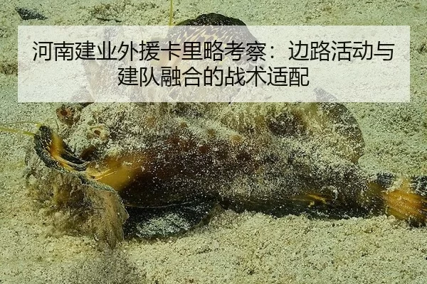 河南建业外援卡里略考察：边路活动与建队融合的战术适配